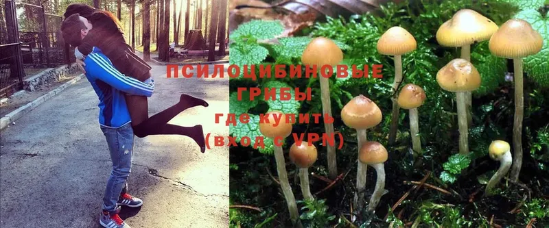 Псилоцибиновые грибы MAGIC MUSHROOMS  Алзамай 